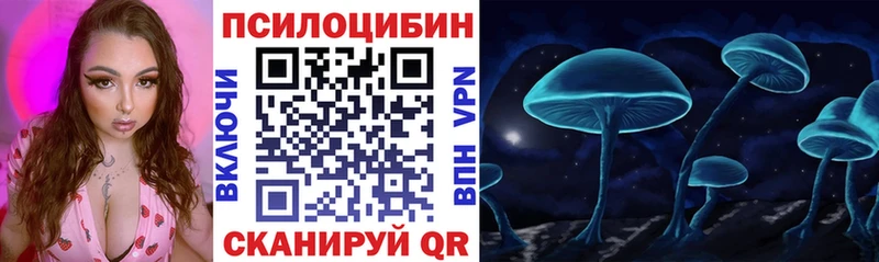 где купить   Суздаль  Псилоцибиновые грибы Psilocybe 