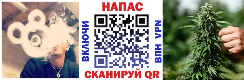 Бошки Шишки Bruce Banner  Суздаль 